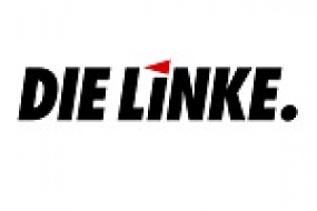 Logo Linke Brandenburg