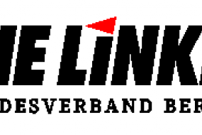 Logo Die Linke Landesverband Berlin
