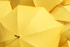 gelbe Regenschirme