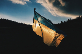Ukraineflagge im Wald