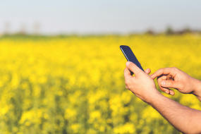 Smartphonenutzer im Feld