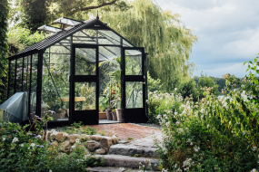 Ein Glashaus steht inmitten von Bäumen in einem Wald