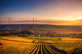 Feld mit Stadt und Windrädern