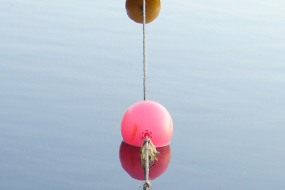 Rote Boje auf Wasser als Keyvisual für das Forum Recht 2023