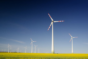 Windräder im Rapsfeld