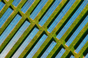 Feld von Solarplatten aus der Vogelperspektive 
