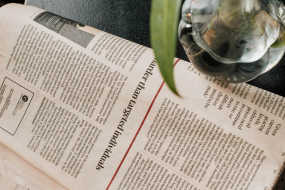 Zeitung mit Blumenvase