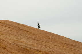 Ein Moodbild für die EU Startups und Scaleups Strategie