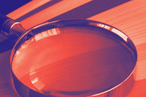 Lupe - Politik - Suche - Prüfung