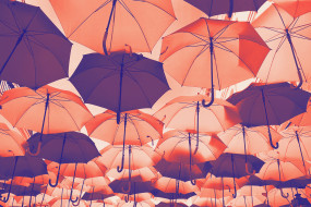 Verschiedene, geöffnete Regenschirme in warmen Farben hängen in mehreren Reihen unter einem Überhang.