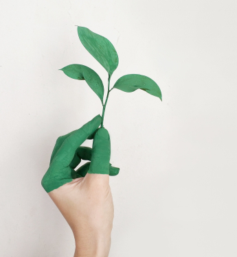 Hand mit grünem Blatt in der Hand