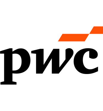 Partner Logo pwc