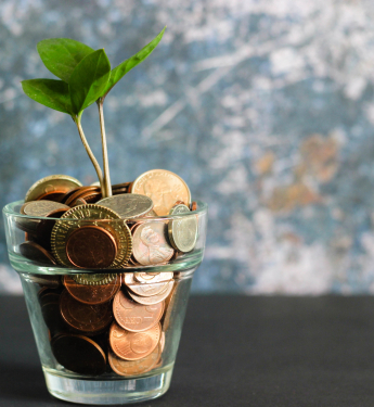 Ein Glas voller Münzen, aus denen eine Pflanze wächst