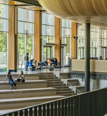 Ein Sinnbild zum Thema Gründen und Universitäten