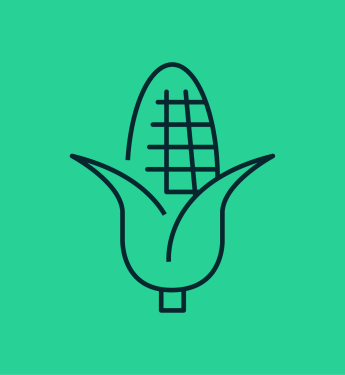 Icon Maiskolben