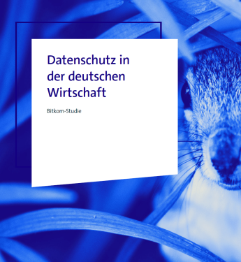 Blauer Farbverlauf mit einem Hasen zwischen Gräsern. Weißes Rechteck mit Text: „Datenschutz in der deutschen Wirtschaft“.