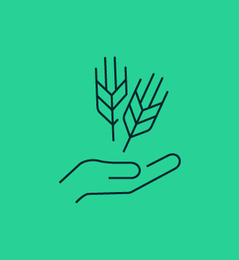 Icon Resilienz Ernährungssicherheit