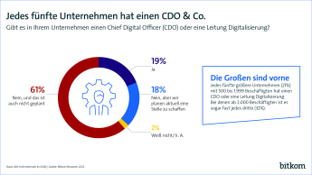 Jedes fünfte Unternehmen hat einen CDO & Co.