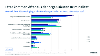 Grafik: Täter kommen öfter aus der organisierten Kriminalität