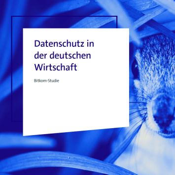 Blauer Farbverlauf mit einem Hasen zwischen Gräsern. Weißes Rechteck mit Text: „Datenschutz in der deutschen Wirtschaft“.