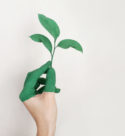 Hand mit grünem Blatt in der Hand