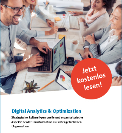 Mockup Publikation Digital Analytics & Optimization 2021