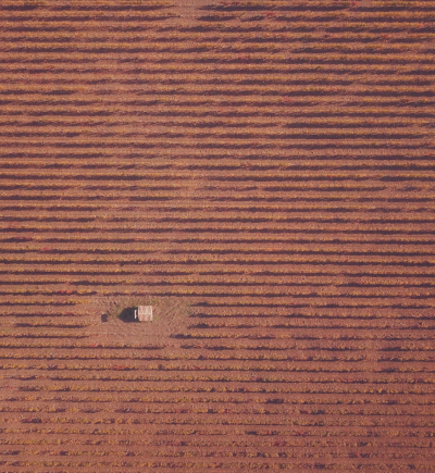 Feld in Frankreich von oben