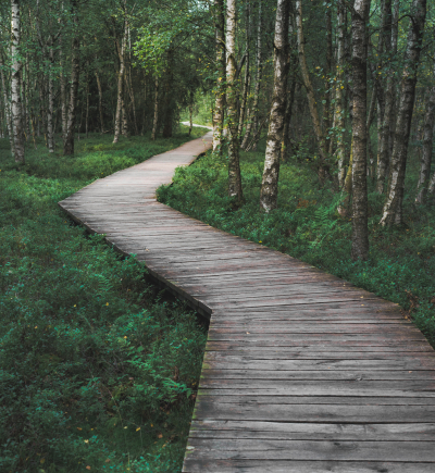 Holzweg im Wald