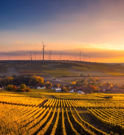 Feld mit Stadt und Windrädern
