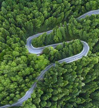 Straße im Wald