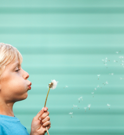 Kind pustet auf Pusteblume