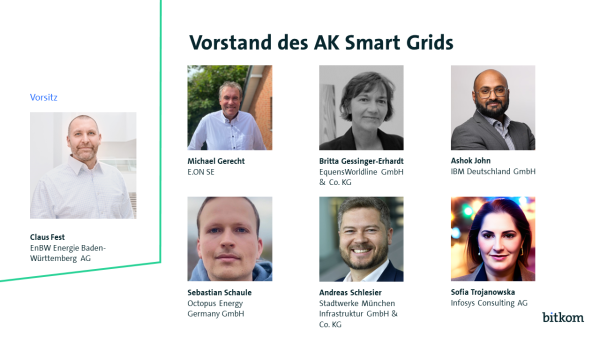 Vorstand des AK Smart Grids