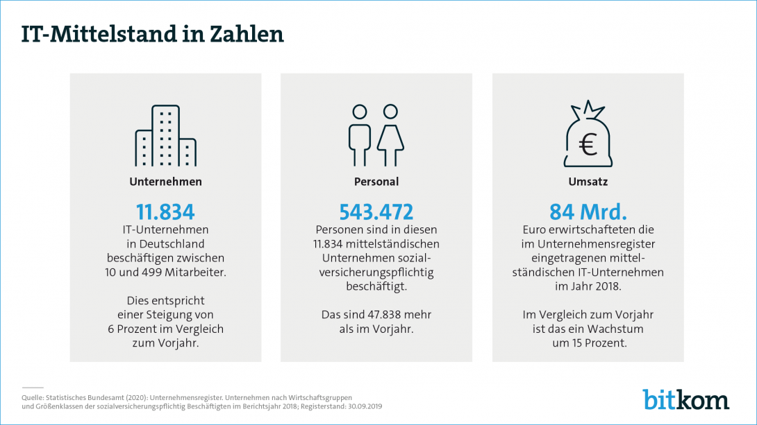 Web-Grafik: "IT-Mittelstand in Zahlen"